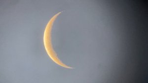 IMG_6034