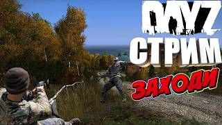 🔴ПО КАЙФУ Vanilla++!/ DayZ #XitriyLis #мат #общение #dayz #pve