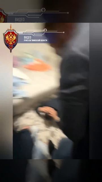 Силовики задержали в Нижневартовске ОПГ, которая занималась мошенничеством с автостраховками.