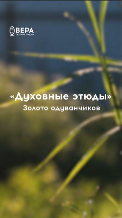 Одуванчики — образ благодати: их головки напоминают о дарах Духа