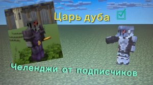 Челенджи от подписчиков часть 1 I Царь дуба