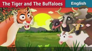 The Tiger and the Buffaloes