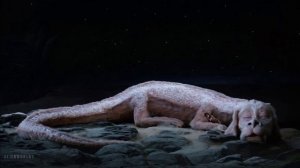 The NeverEnding Story (1984) ｜ Sleeping Falkor ｜ Ambient Soundscape