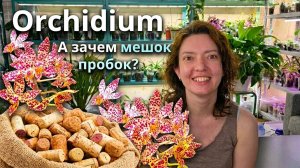 Что Привезла с Орхидиума? РАСПАКОВКА Интересного и РАССКАЗЫ О ВСЯКОМ