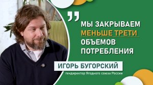 «Мы закрываем меньше трети объемов потребления» | Игорь Бугорский гендиректор Ягодного союза России