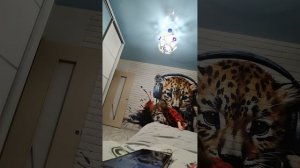 VID_20260521_231250.mp4