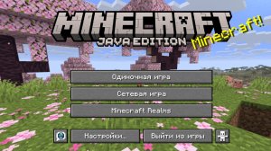 майсруфтик