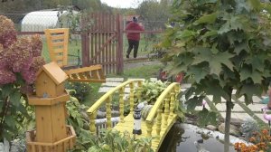 6 соток 25 сентября 2021 год. Хроника