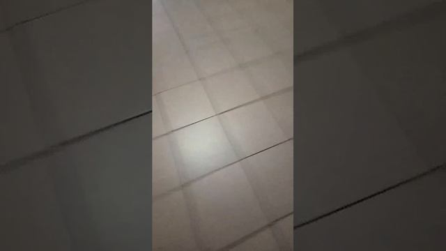 встречаю утро