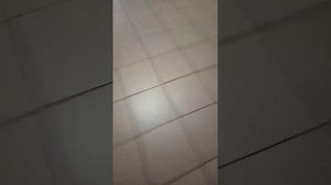 встречаю утро