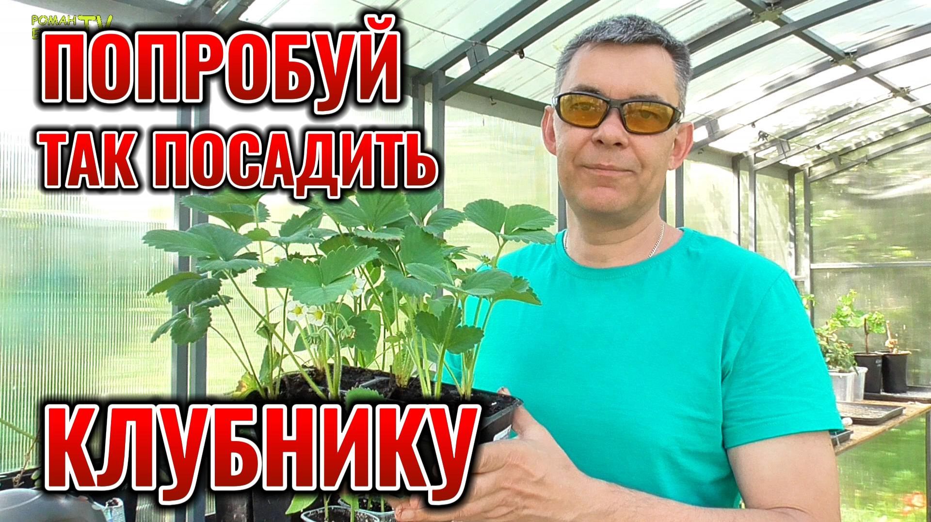 Сажай клубнику САДОВУЮ ЗЕМЛЯНИКУ весной по-новому: урожай в 2 раза больше обычного!