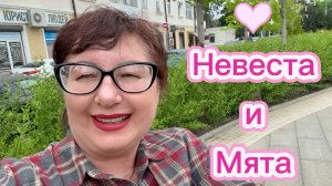 Невеста 🎇 Куда сбежала? 👫 Мята ‼️ И ‼️ Её многообразие 🌱🌱🌱