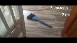 пять ночей с Басиком 2#