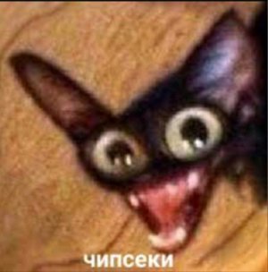 🔴 стрим 21 мая