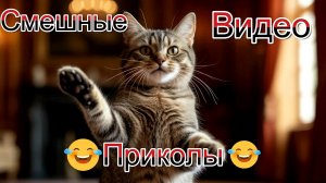 Смешные видео приколы|Коты и собаки