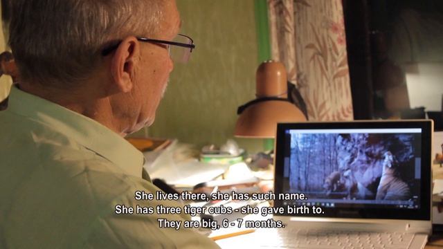 «Тропой амурского тигра», 2017 г., 26 мин.
