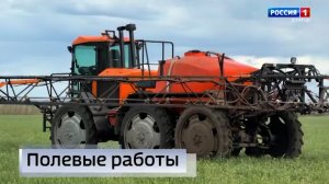 Полевые работы