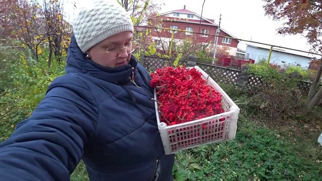 Влог от 19.10.2022 смотреть онлайн