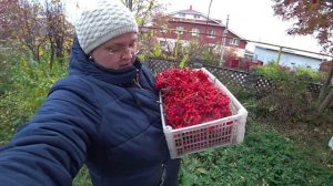 Влог от 19.10.2022