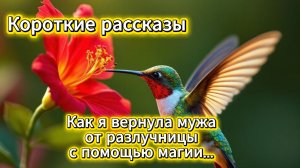 Короткие рассказы: как я вернула мужа от разлучницы с помощью магии | Домохозяйка