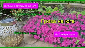 21-05-2026/Из Сибири на юг/Краснодарский край/Готовлю вкусный плов/Работаю в саду/Ужасная гроза/
