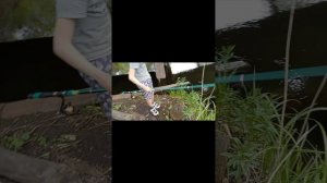 Рыбалка на окуней