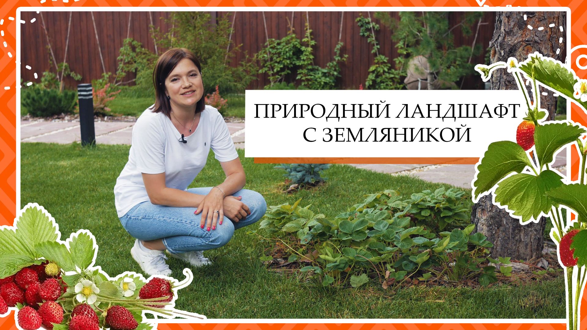 Участок мечты: земляника и хвойные 🍓