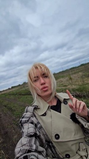 Новая нарезка в 5 км от Колывани Новосибирск 📌