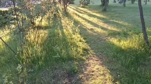 ЗАГОРОДНЫЙ ПАРК. ЛЮБИМОЕ МЕСТО ОТДЫХА . СО МНОЙ ПОГУЛЯЕМ  С ШИКАРНОЙ МУЗЫКОЙ.. БЫВАЮ НЕ ЧАСТО, ЖАЛЬ.
