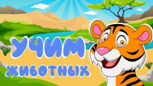 Учим животных вместе