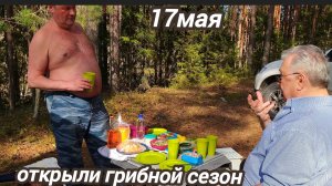 17.05.2026 г Сыктывкар. Открыли грибной сезон