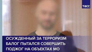 Осужденный за терроризм Балог пытался совершить поджог на объектах МО
