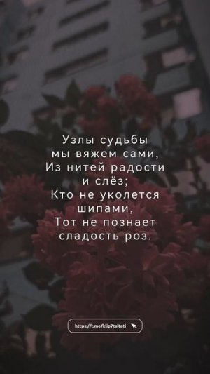 Истина