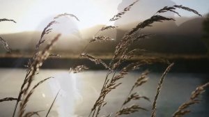 Лучшая дворовая незабываемая песня.