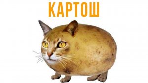 Новый смешарик - КАРТОШ))) Приколы
