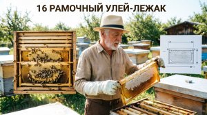 Лежак на 16 рамок: это просто «большой ящик» или полноценная система? Отвечает профессор