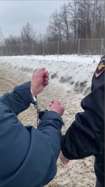 ЖИТЕЛЬ МОСКОВСКОГО РЕГИОНА ПРИГОВОРЁН К 25 ГОДАМ ЗА СЕРИЮ ДИВЕРСИЙ смотреть онлайн