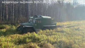 Ковровое болото.