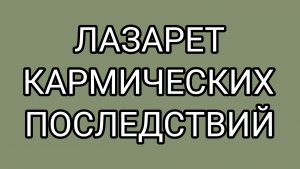 Собачья жизнь ДОМОСЕРА