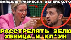 АЛИСА ВАЙДЕЛЬ РАЗНЕСЛА ЗЕЛЕНСКОГО В ЩЕПКИ , ЗЕЛЕНСКИЙ НЕ ОЖИДАЛ ТАКОГО! ПРЯМОЙ ЭФИР В ГЕРМАНИИ!