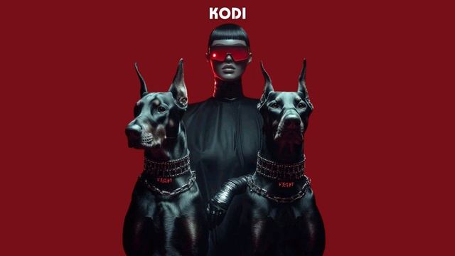 KODI - Havana