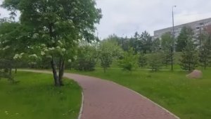Весенняя прогулка .Сквер Победителей. Красноярск