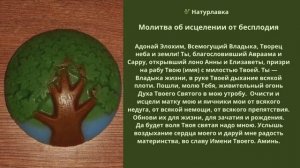 Молитва об исцелении от бесплодия