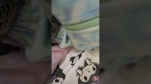 все мои басики лилиша зайки ми и их друзья
