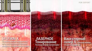Видео_от_Видеомонтаж_Татьяны_Черняевой_1