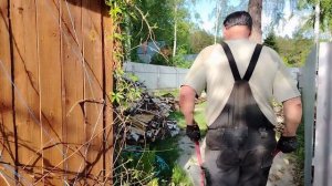 21 мая. Высадила петуньки. Сделали грядки в теплицы.