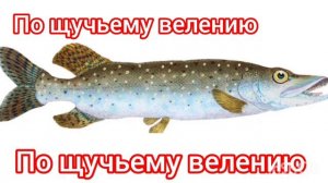 По щучьему велению | Русские народные сказки | Сказки детям 📚 #детям #сказка #аудиосказка