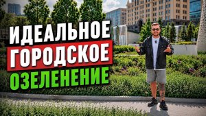 Обзор пространства и идеальных растений для города