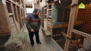 ПТИЦЕВОДСТВО. Как уложить подстилку в куриное гнездо. Как правильно сформировать гнездо для курицы