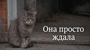 Истории из жизни. Она просто ждала Жизненные истории, Аудиорассказы